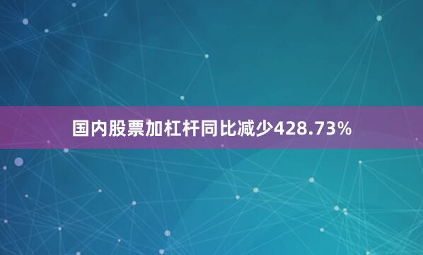 国内股票加杠杆同比减少428.73%