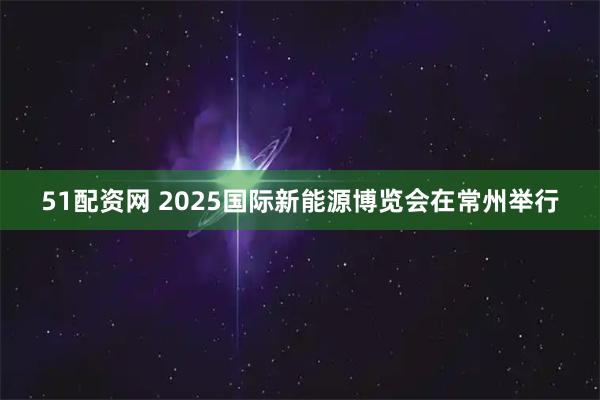 51配资网 2025国际新能源博览会在常州举行