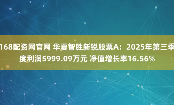 168配资网官网 华夏智胜新锐股票A：2025年第三季度利润5999.09万元 净值增长率16.56%