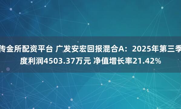 传金所配资平台 广发安宏回报混合A：2025年第三季度利润4503.37万元 净值增长率21.42%