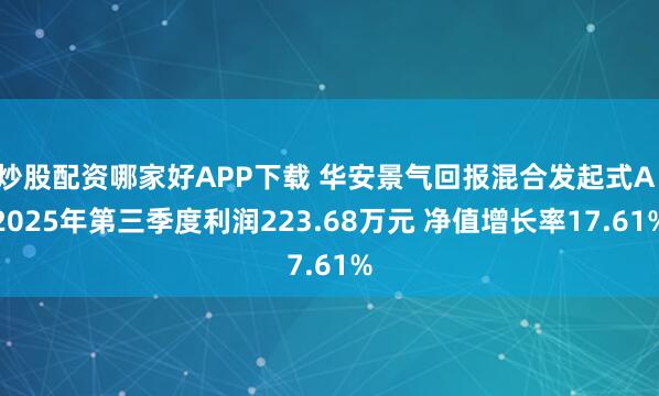 炒股配资哪家好APP下载 华安景气回报混合发起式A：2025年第三季度利润223.68万元 净值增长率17.61%