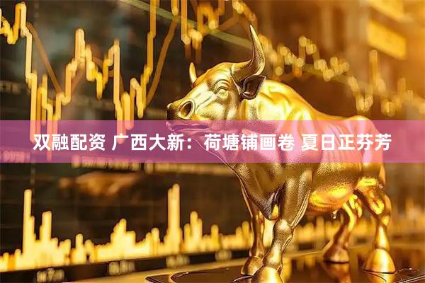 双融配资 广西大新：荷塘铺画卷 夏日正芬芳
